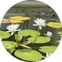 Google profile photo