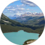 Google profile photo