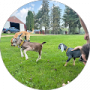 Google profile photo